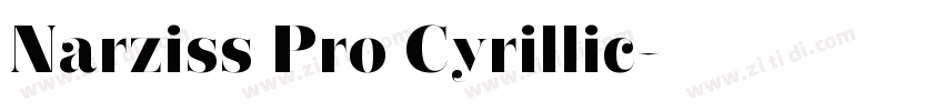 Narziss Pro Cyrillic字体转换